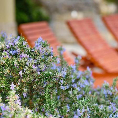 Willa Casa Aromatica Maria Mali Lošinj Zewnętrze zdjęcie