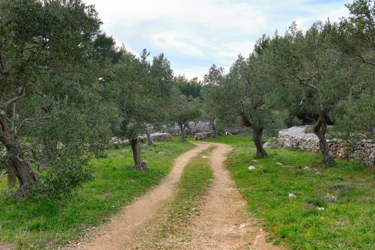 Willa Casa Aromatica Maria Mali Lošinj Zewnętrze zdjęcie